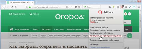 Сроки и особенности
