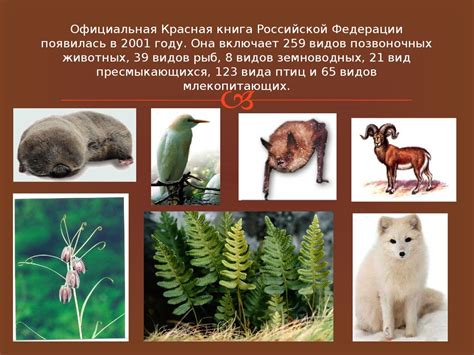 Статус касатки в красной книге России