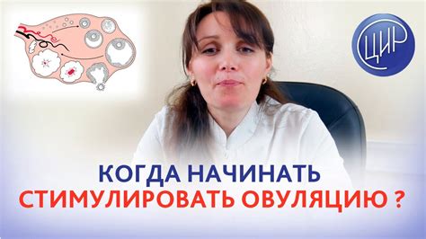 Стимуляция слюнотечения