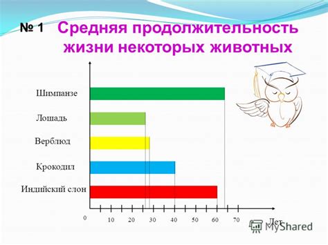 Столбчатые диаграммы - особенности и примеры