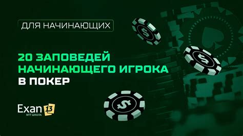 Стратегия начинающего игрока