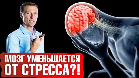 Стресс и нервные переживания