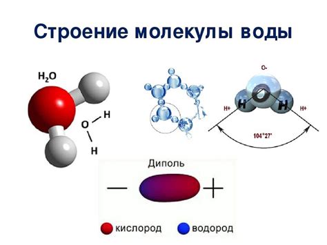 Структура молекулы воды: ключевой фактор