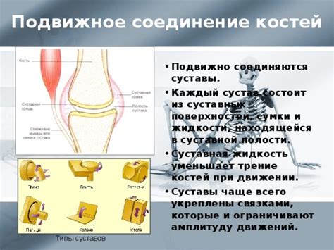 Сухость суставов и трение поверхностей