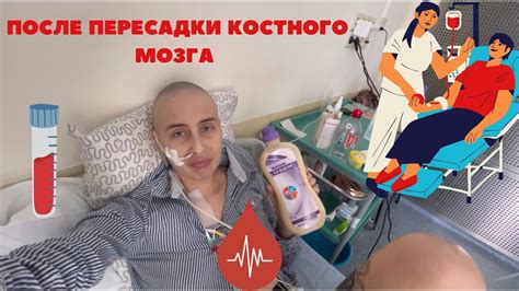 Существенное улучшение сохранности памяти после пересадки мозга