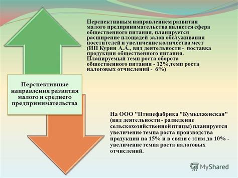 Сфера деятельности ИП