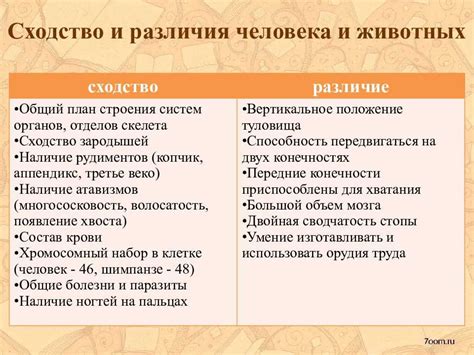 Сходства в характере и внешности