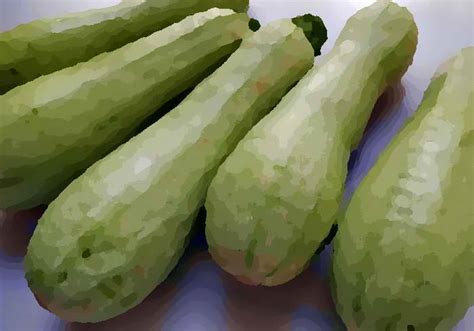 Сырой кабачок: польза и вкус