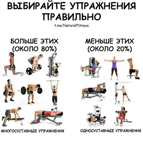 Сырость и тренировка