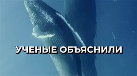 Тайна пения