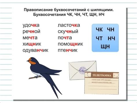 Тайна черничного буквосочетания