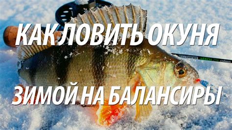 Тактика ловли в подводной стихии