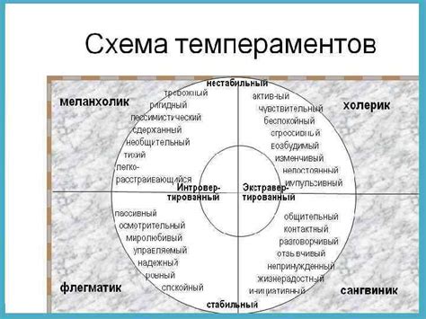 Темпераментальный профиль сангвиника-холерика