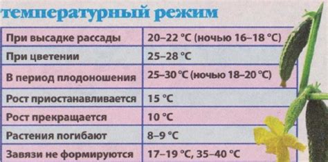 Температурный режим: рекомендации по оптимальной температуре