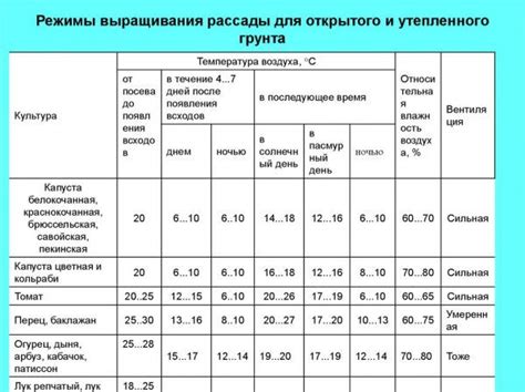 Температурный режим и освещение для долгого хранения лука