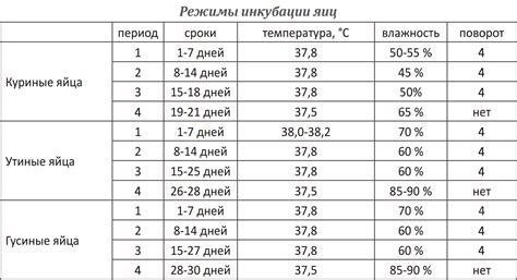Температурный режим при болезни: основные причины