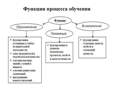 Теории обучения и развития: основные принципы