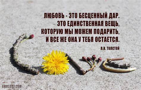 Теория #4: Передача значений о любви к людям