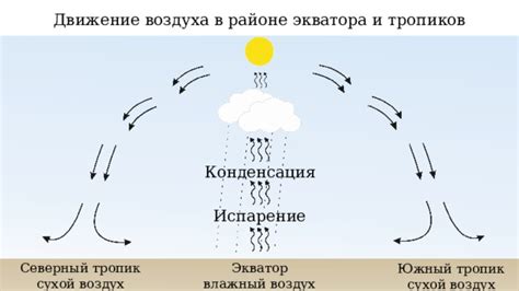 Тепловые пояса и влажный воздух