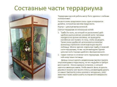 Террариумы для домашних животных
