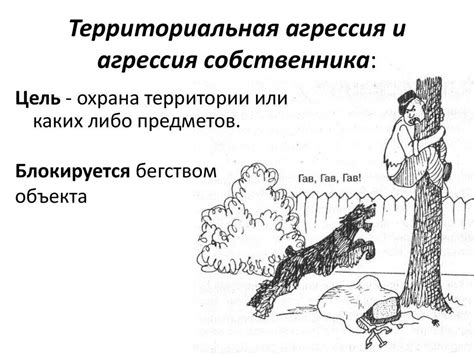 Территориальная агрессия