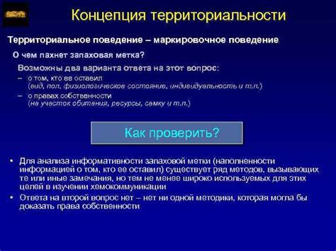 Территориальное поведение и метка