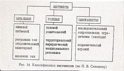 Территориальный инстинкт и меткировка