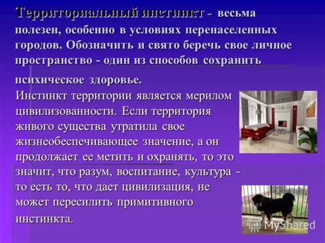 Территориальный инстинкт - объяснение пропаж