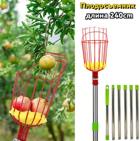 Техника быстрого сбора фруктов