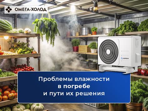 Техника поддержания правильной температуры и влажности в сухом погребе