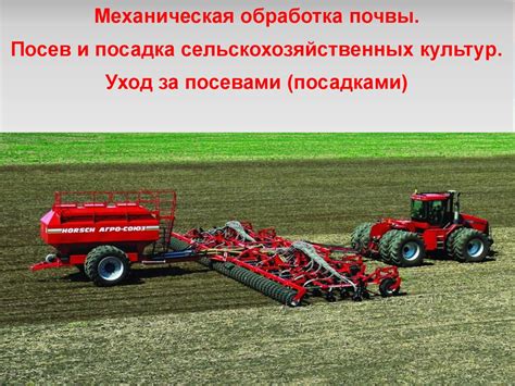 Техника посева ржи