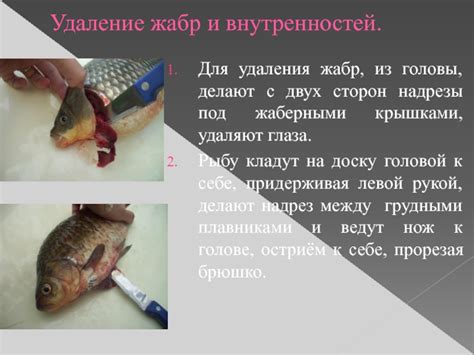 Техника удаления жабр