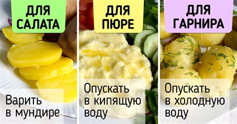 Техники использования палочек для разных видов блюд