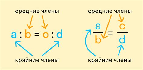 Техники определения пропорций