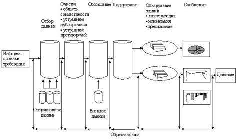Технологии осмотической дегидратации: отбор продуктов и режимы обработки