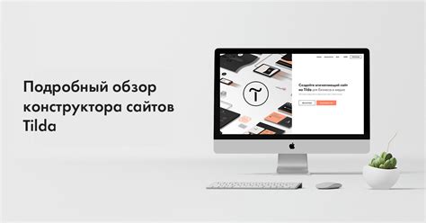 Тильда: основные возможности и инструменты