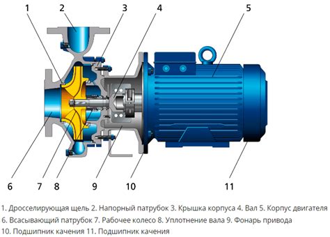 Типы насосов и их устройство