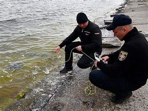 Только не забудь о водолазе