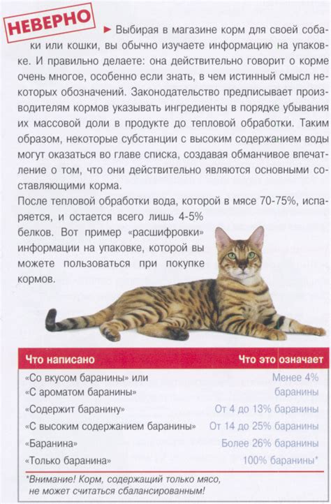 Тонкая регуляция телесной температуры у котов