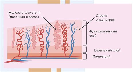 Тонкий слой равномерной толщины