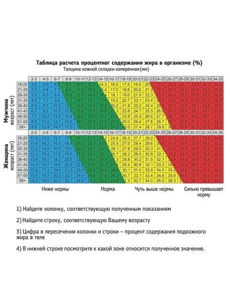 Точный способ измерения подкожного жира с помощью линейки