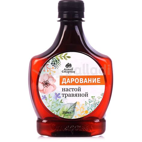 Травяной настой с полынью: идеальное соотношение ингредиентов