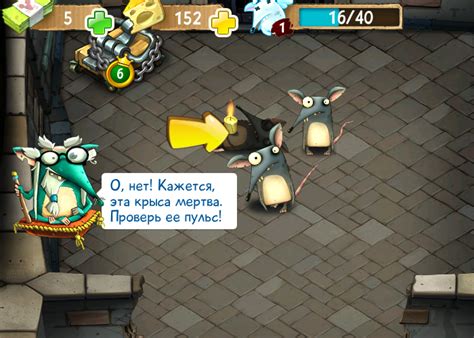 Тренировки и активные игры для крысы
