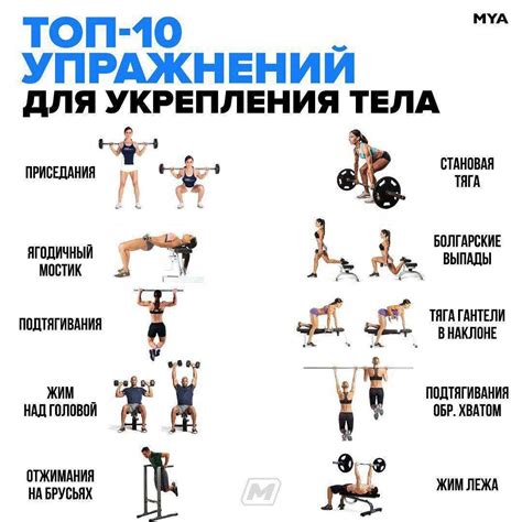 Тренировки и советы для начинающих