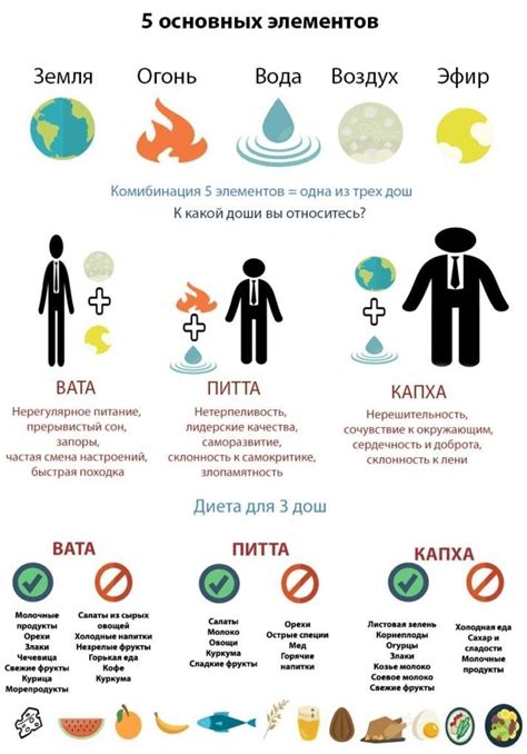 Три доши: признаки и характеристики