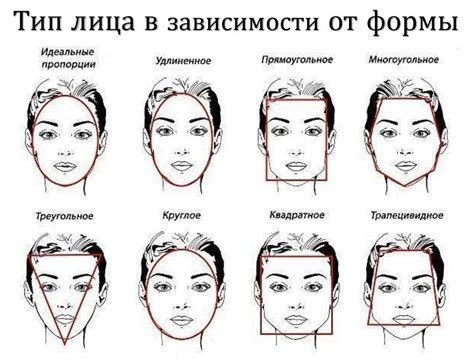 Три основных типа лица