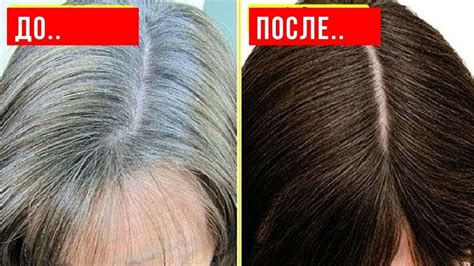 Убираем седину без окрашивания