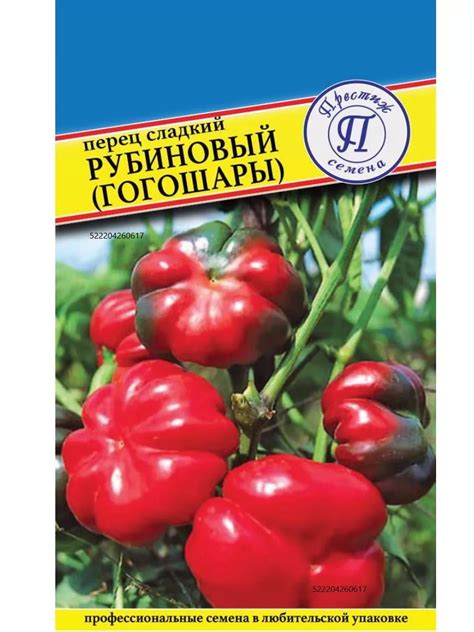 Увеличение всхожести семян астры: полезные советы и рекомендации