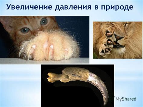 Увеличение давления в пазухах