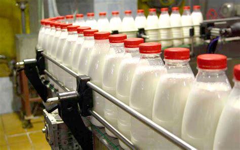 Увеличение продукции молока: реальные советы из практики